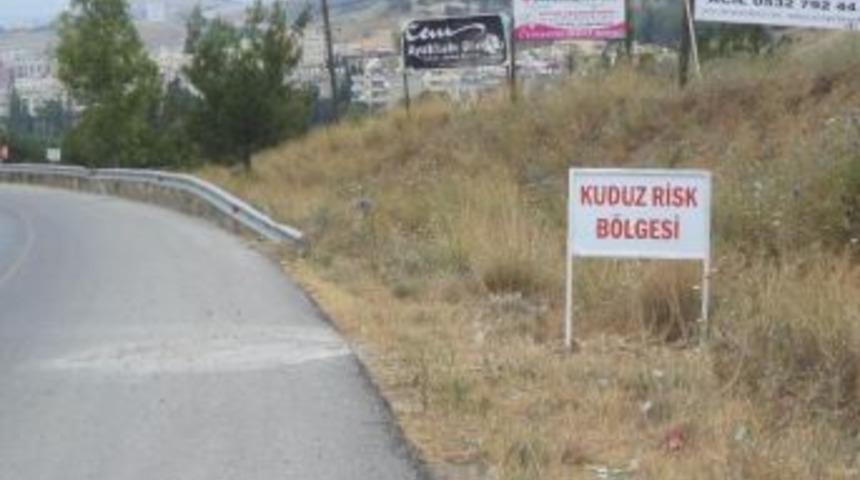 Hatay'da Kuduz Krizi