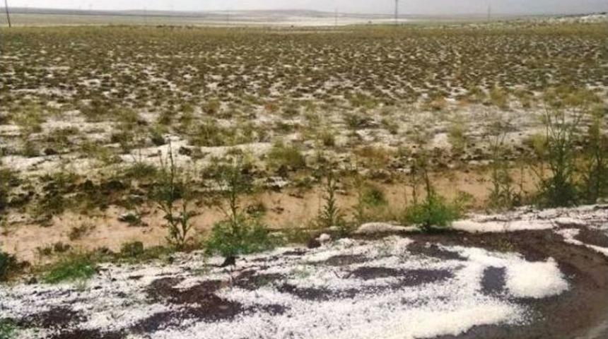 Niğde&rsquo;de Tarlaları Dolu Vurdu