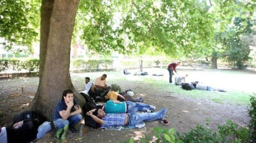 Cami Avluları, Yeşil Alanlar Suriyeli'lerle Doldu