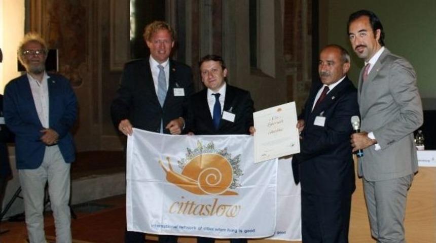 T&uuml;rkiye&rsquo;nin 10&rsquo;uncu Sakin Şehri Şavşat İl&ccedil;esi Oldu