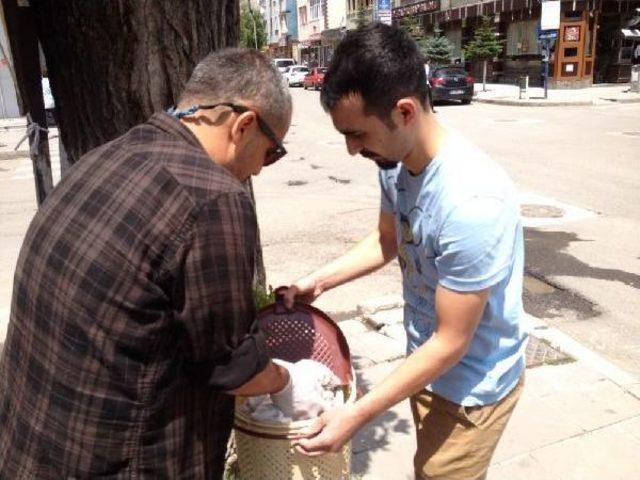 Yavru Kerkenezin Uçma Denemesi