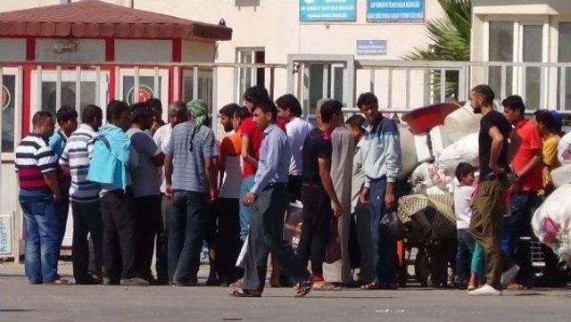 Ülkelerine Dönmek Isteyen Suriyeliler Sınırda Bekliyor