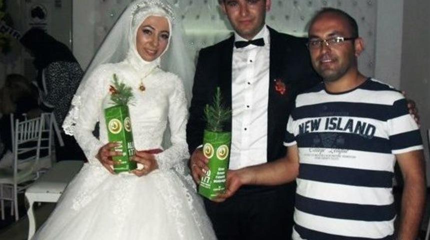 D&uuml;ğ&uuml;ne Gelen Davetlilere Nikah Şekeri Yerine T&uuml;pl&uuml; Fidan Dağıtıldı