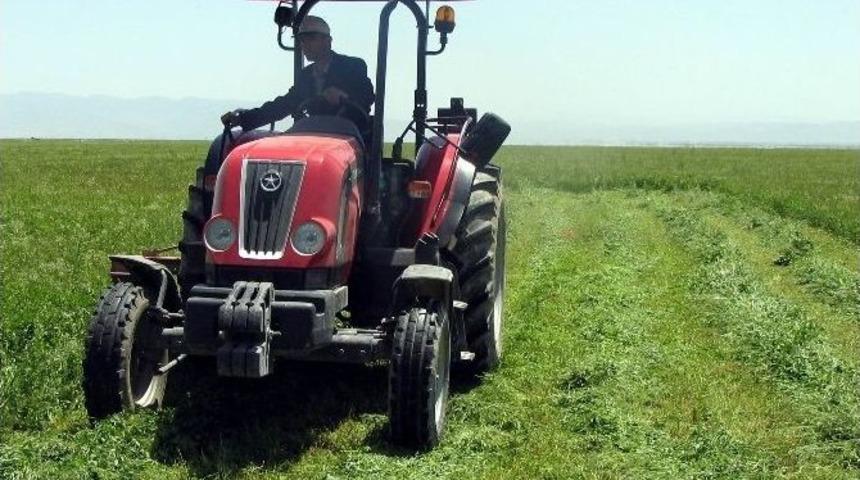 Kayseri&rsquo;de &Ccedil;&ouml;ller Yeşeriyor