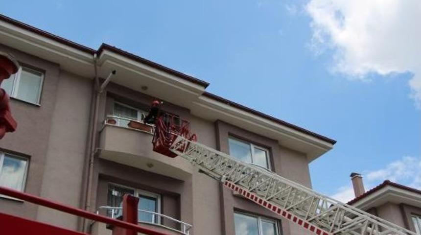 Fileye Takılan G&uuml;vercini Itfaiye Kurtardı