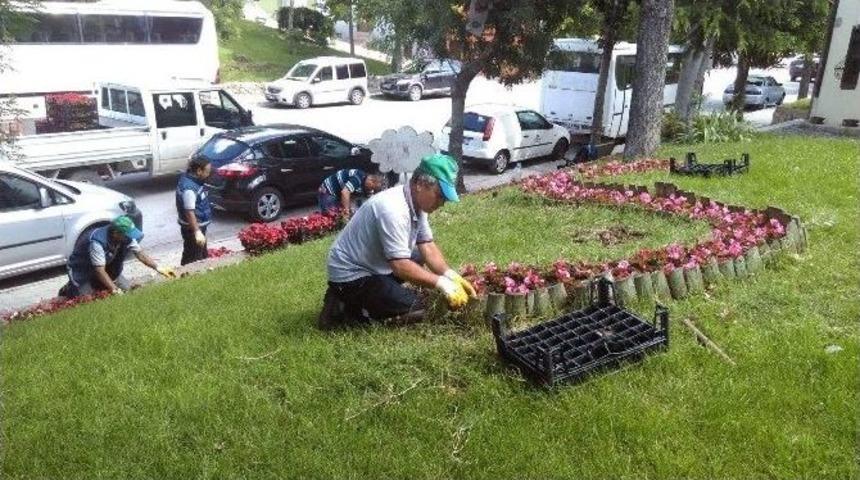 Çiçek Gibi Odunpazarı