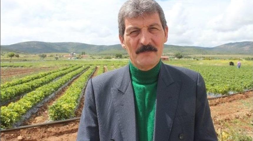 Hüyük’te Lavanta Dönemi