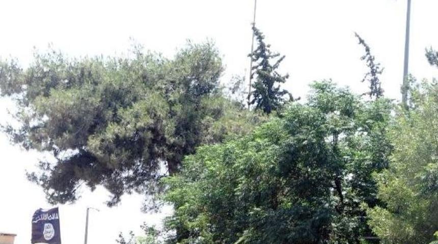 Suriye Sınırında, T&uuml;rk Bayrağı Ile Işid Bayrağı Yan Yana