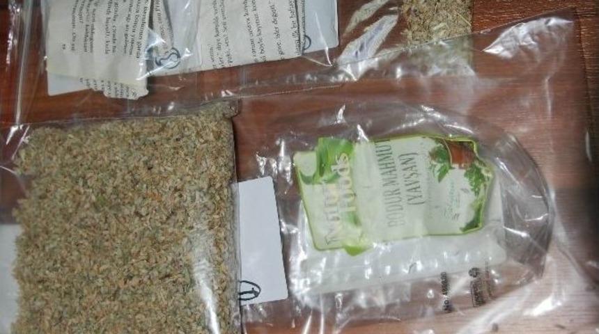 Bonzai İle Yakalanan Gen&ccedil; Tutuklandı