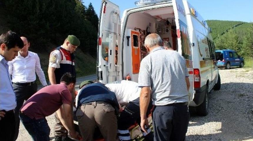 Kastamonu&rsquo;da Otomobil Tarlaya U&ccedil;tu: 5 Yaralı
