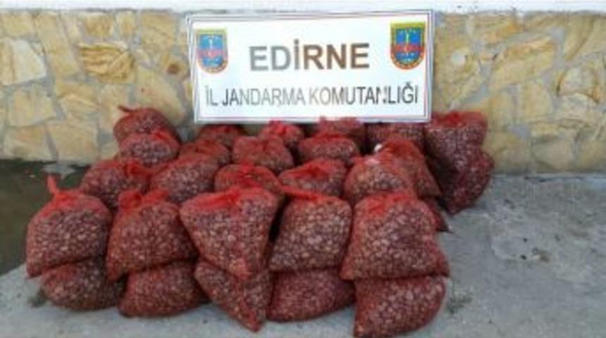 6 Ayda 39 Bin Kilo Ka&ccedil;ak Midye Ele Ge&ccedil;irildi