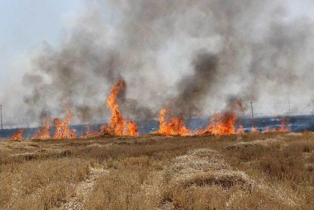 Anız Yangını Sürücülere Zor Anlar Yaşattı