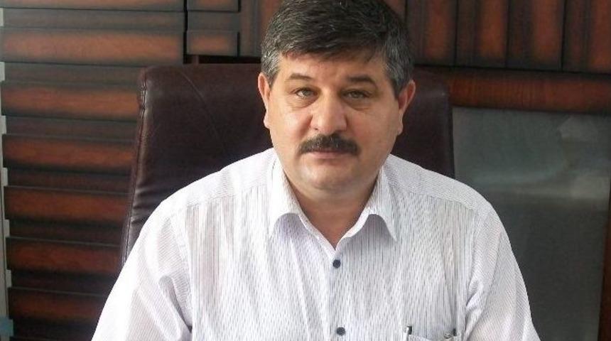 Narenciye &Uuml;reticisine Akdeniz Sineği Sıkıntı Veriyor