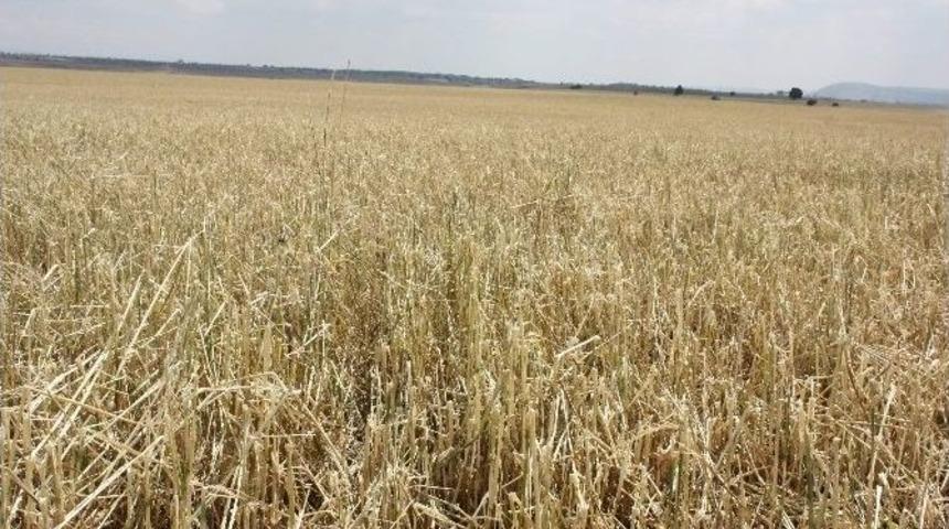 Eskişehir’de Bereketli Yağışlar Afete Dönüştü