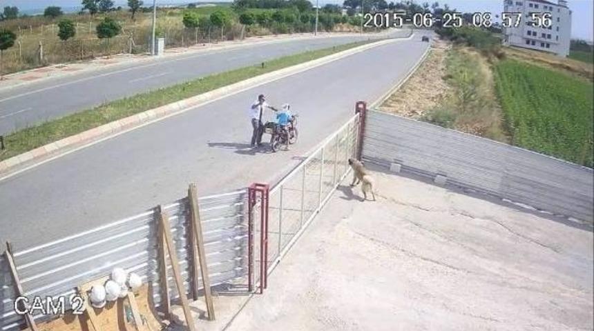 T&uuml;fekle K&ouml;pek &Ouml;ld&uuml;rene 1002 Lira Para Cezası