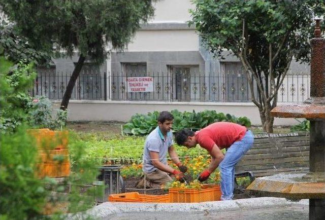 Giresun’da Tarihi Taşbaşı Parkı Çiçeklendirdi