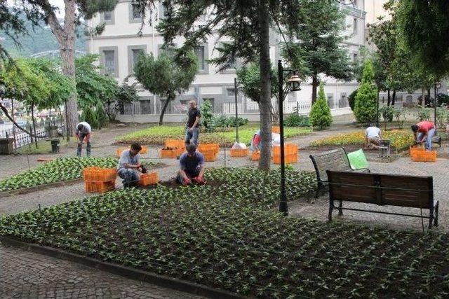 Giresun’da Tarihi Taşbaşı Parkı Çiçeklendirdi