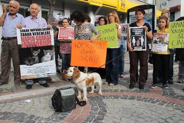 Edirne’de Pompalı Tüfekle Köpek Vahşetine Tepkiler Büyüyor