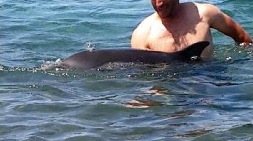 Y&uuml;zgecine Poşet Dolanan Yunus Kendini Karaya Attı