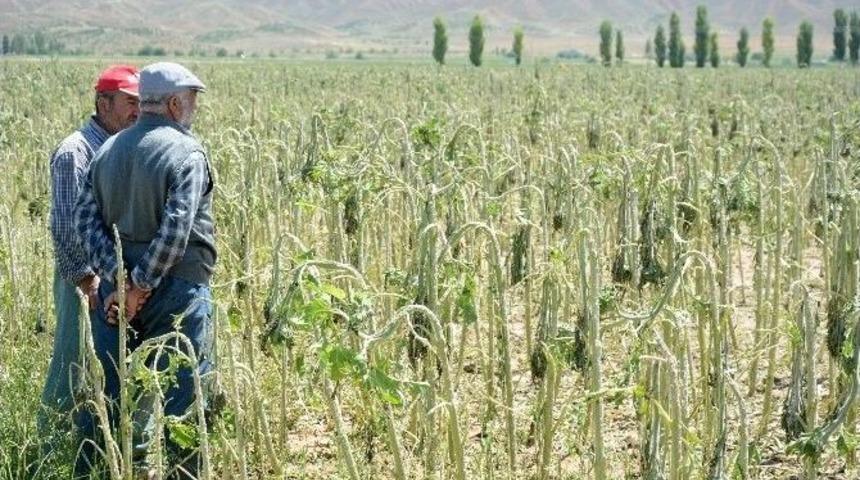 Aksaray&rsquo;da Sel Ve Dolu Tarım Arazilerini Vurdu