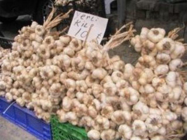 Sarımsak Fiyatları El Yakıyor 1