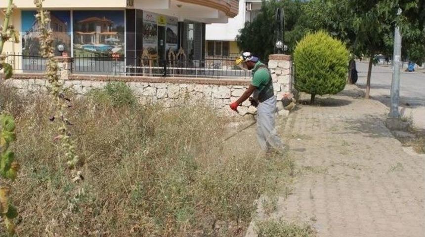 Didim&rsquo;de Yabani Ot Temizliği Yapılıyor