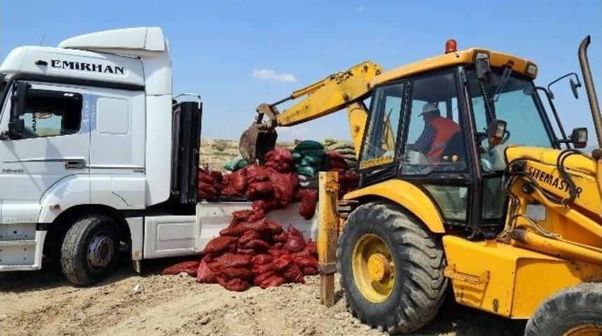 10 Ton Bozuk Midye İmha Edildi