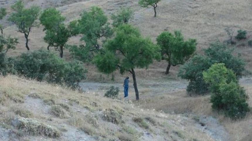 Kayıp Taksici Ağa&ccedil;ta Asılı Bulundu