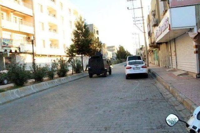 Nusaybin'de Ydg-H Operasyonu: 8 Gözaltı