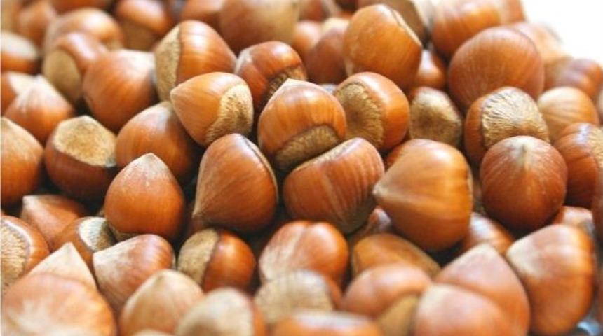 Fındık İhracatı Yüz Güldürdü