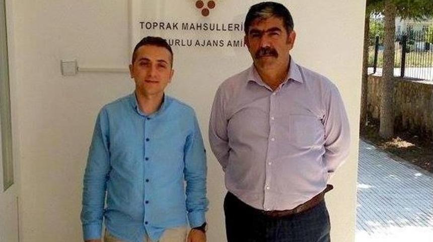 Sungurlu Tmo Buğday Alımına Başlıyor