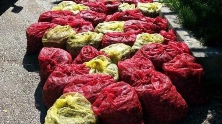 Edirne&rsquo;de 2 Ton Ka&ccedil;ak Midye Ele Ge&ccedil;irildi