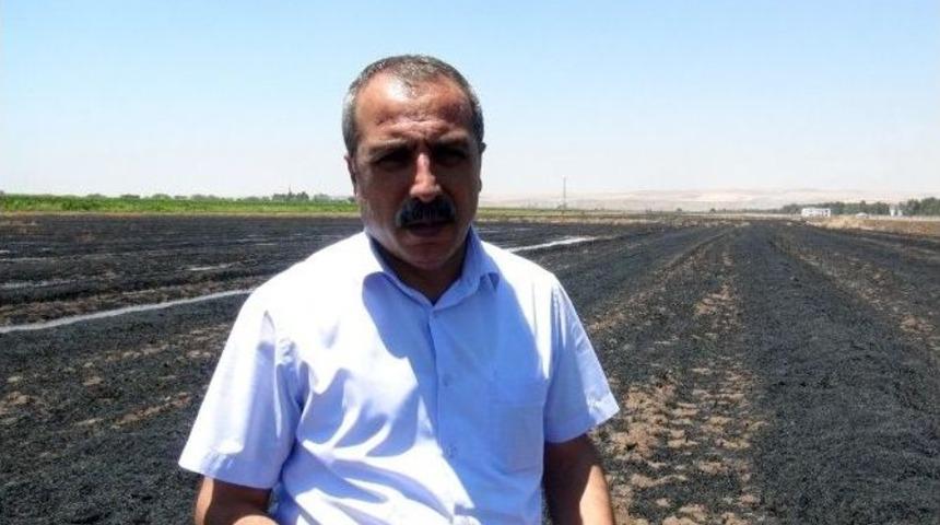 &Ccedil;evrecilerden Anız Yangınlarına Tepki