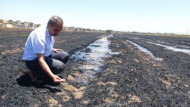 Çevrecilerden Anız Yangınlarına Tepki