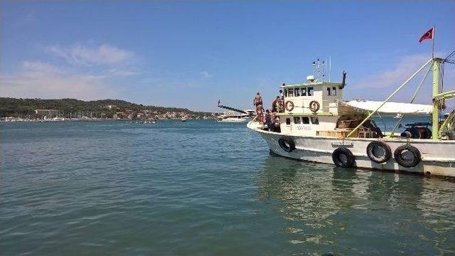 Ayvalık’ta Denizcilik Ve Kabotaj Bayramı Büyük İlgi Gördü