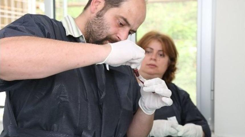 Od&uuml;&rsquo;de Fareler &Uuml;zerinde Deney &Ccedil;alışmaları