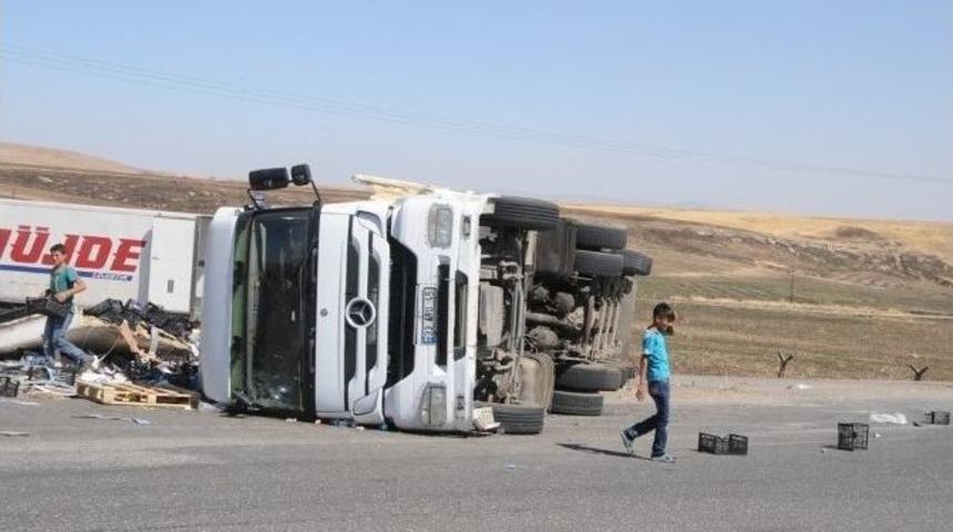 Virajı Alamayan Meyve Y&uuml;kl&uuml; Tır Kaza Yaptı
