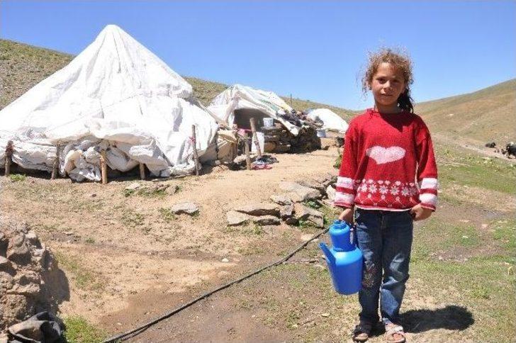 Hayvanlarını Serinletmek İçin Kar Üzerine Çıkarıyorlar G5