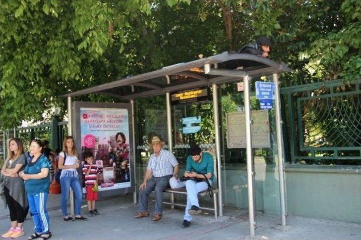 Aşkından 7 Yıldır Otobüs Durağının Tepesinde Yaşıyor G5