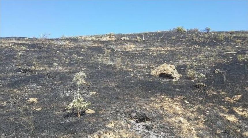 Elazığ&rsquo;dan Kısa Kısa