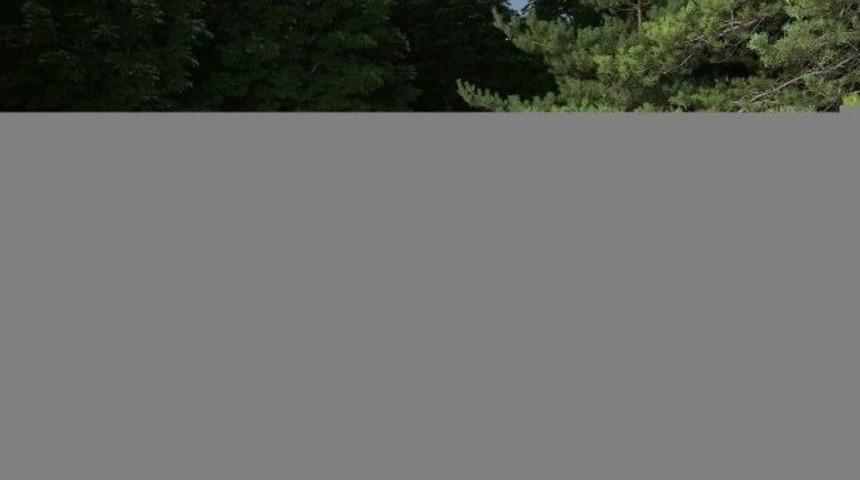 Farklı &Uuml;lkeler Aynı Sofrada