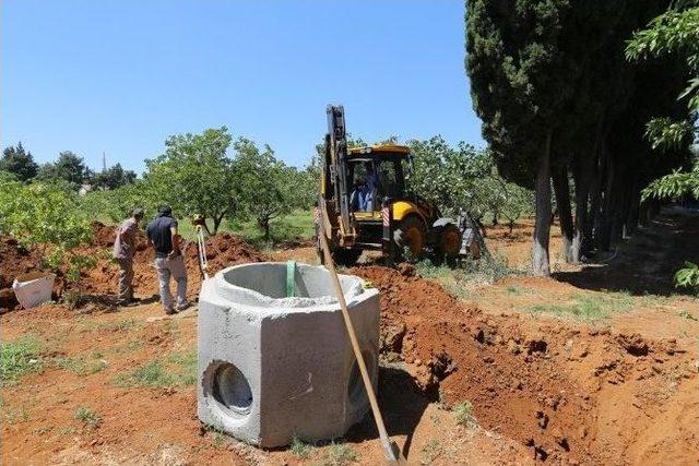 Fıstık Parkı’nda Çalışmalar Sürüyor