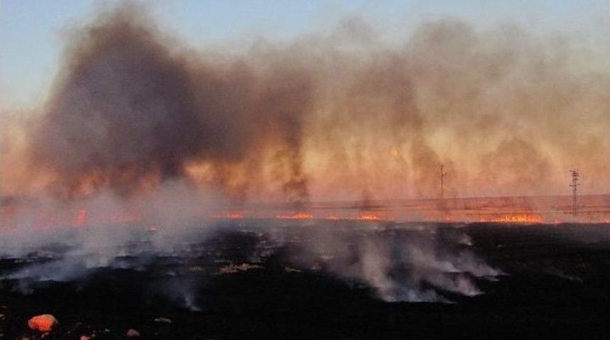 Araban Ovası&rsquo;nda Anız Yangınları
