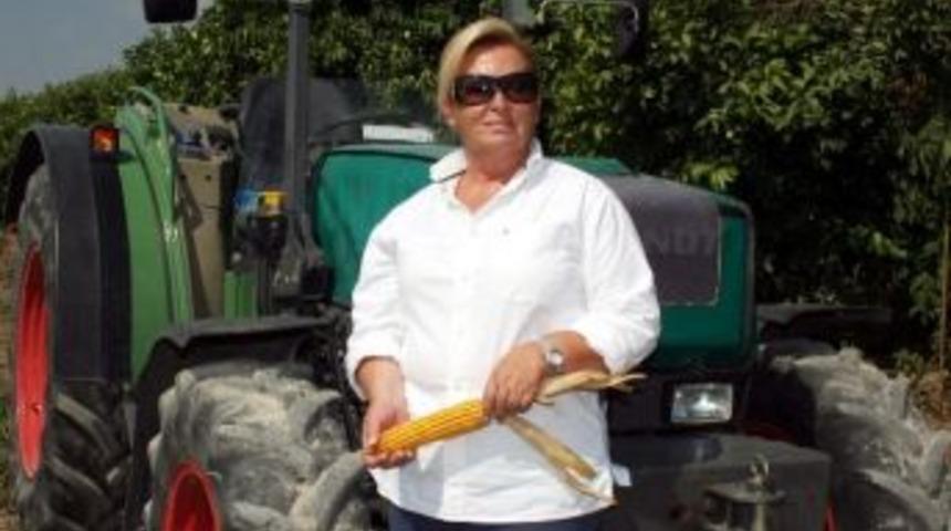 Mısırda Yüksek Rekolte Beklentisi