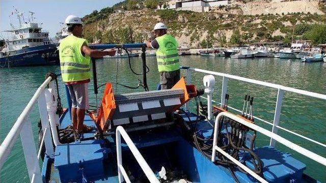 Hatay Büyükşehir Belediyesi Deniz Kıyılarını Temizliyor