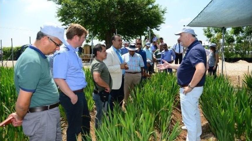 Adana, Hollanda’nın Rusya’ya Açılan Kapısı Olacak