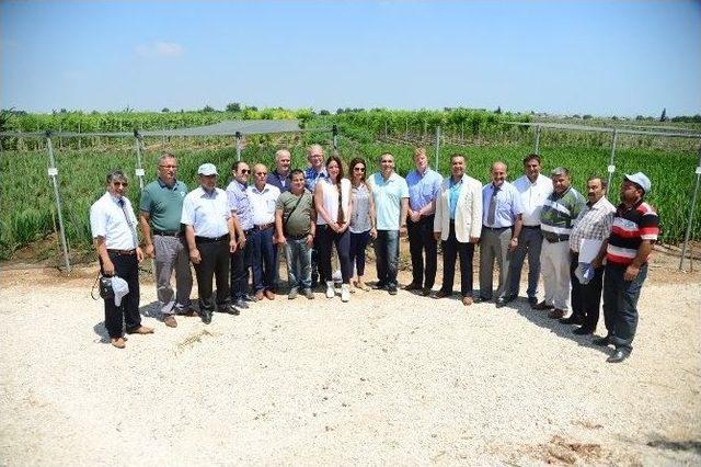 Adana, Hollanda’nın Rusya’ya Açılan Kapısı Olacak