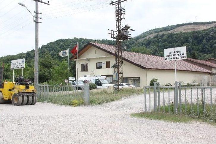 Hayvan Barınağında Bakım Rezaleti İddiası G3