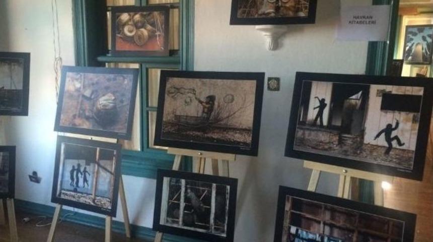 İbrahim Elman&rsquo;dan &ldquo;&ouml;l&uuml;m Ve Yaşam&rdquo; Konulu Fotoğraf Sergisi A&ccedil;ıldı