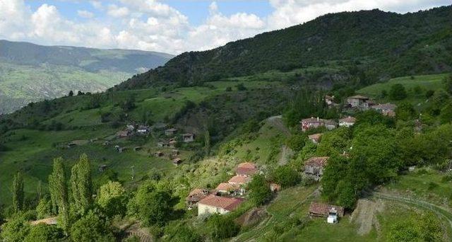 Bu Köyde 15 Gündür Elektrik Yok